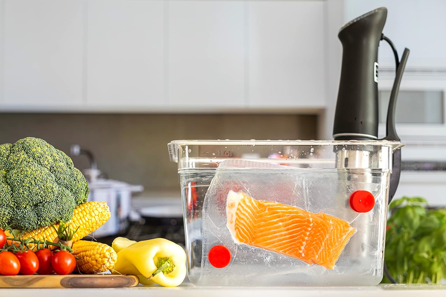 Sous Vide Magnets Set of 8 - F - Camping Cooking Tool Set บทวิจารณ์และราคา