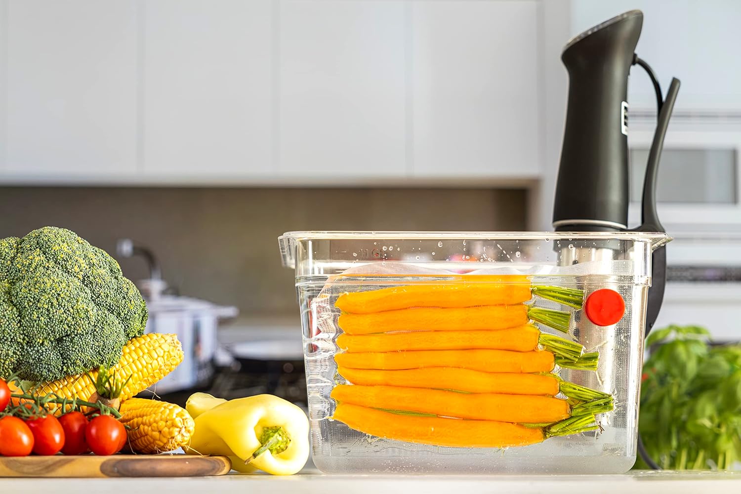 Sous Vide Magnets Set of 8 - F - Camping Cooking Tool Set บทวิจารณ์และราคา